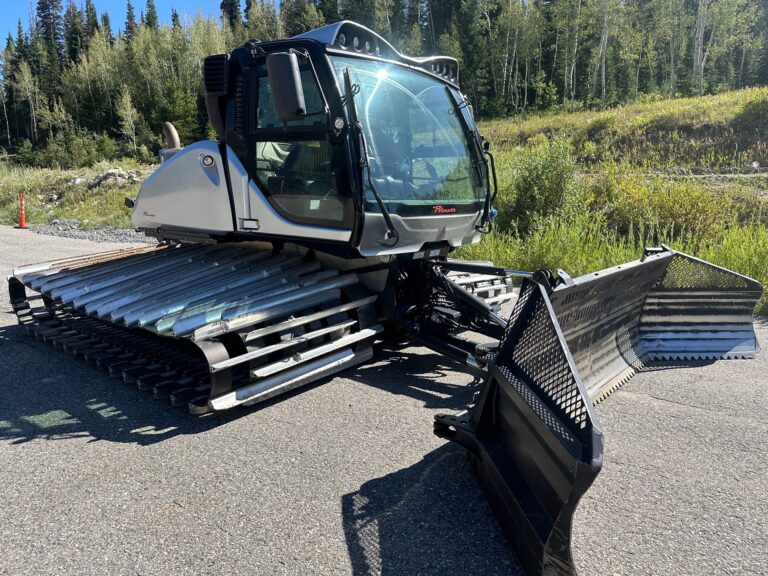Prinoth Bison