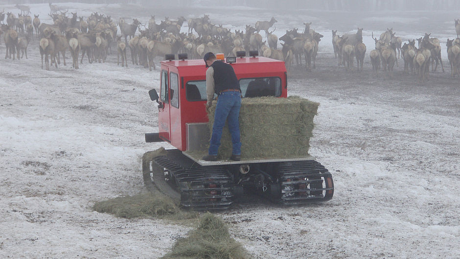 PistenBully Scout Peterson Equipment