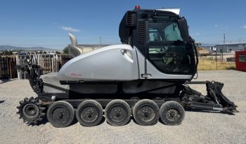 2019 Prinoth Bison full